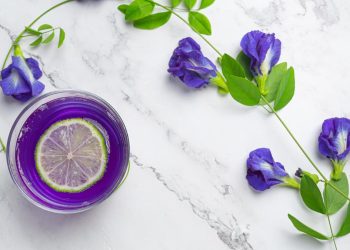 7 Manfaat Bunga Telang Ungu untuk Kesehatan dan Kandungan serta Efek Sampingnya