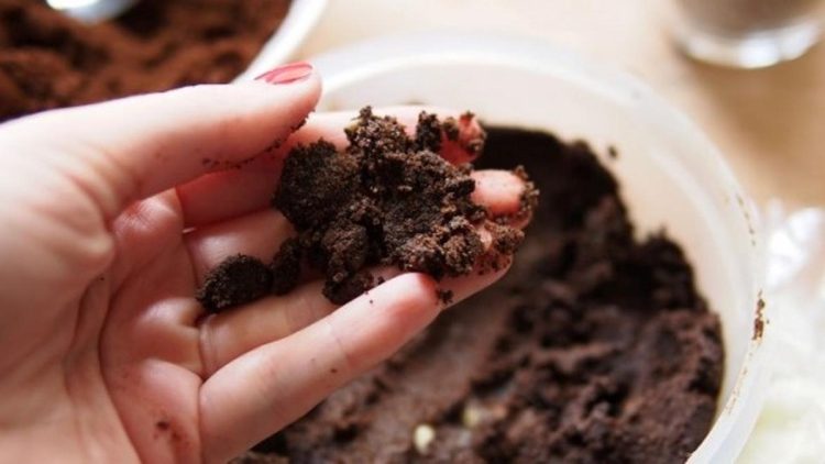 Manfaat Ampas Kopi sebagai Lulur untuk Kesehatan Kulit Tubuh