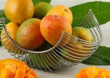 Mangga Manis dan Segar dengan Beragam Manfaat untuk Kesehatan Mata hingga Jantung