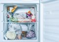 Berapa Lama Ikan Dapat Disimpan di Dalam Freezer
