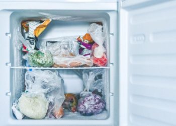 Berapa Lama Ikan Dapat Disimpan di Dalam Freezer