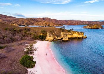 Pantai Pink Pulau Komodo Diakui Sebagai Pantai Terindah di Dunia
