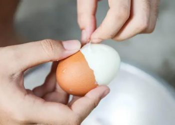 Berapa Lama Merebus Telur Agar Salmonella Mati Hati-Hati Jika Masih Setengah Matang