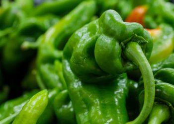 Gejala Awal Diabetes dan Menu Makanan untuk Menurunkan Gula Darah