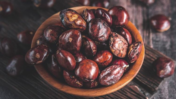 Hindari Jengkol Jika Kamu Mengidap 5 Penyakit Ini