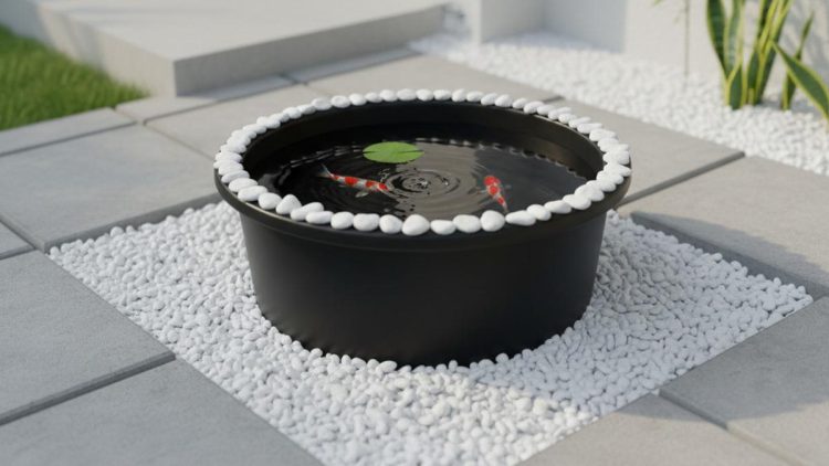 10 Model Kolam Ikan dari Ember yang Estetik untuk Membuat Rumah Jadi Asri