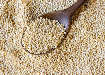 Sosis Ayam Berbasis Sorgum Tinggi Protein dan Ramah untuk Pengidap Diabetes