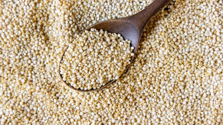 Sosis Ayam Berbasis Sorgum Tinggi Protein dan Ramah untuk Pengidap Diabetes
