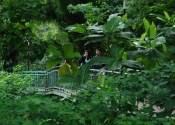 Hutan Babakan Siliwangi Bandung Tutup Selama 90 Hari, Jangan Ke Sini Dulu