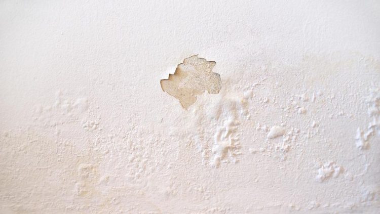 5 Metode Mengatasi Tembok Lembap di Rumah Selama Musim Hujan