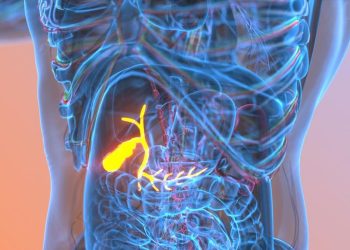 Daftar Makanan yang Dilarang untuk Penderita Batu Empedu