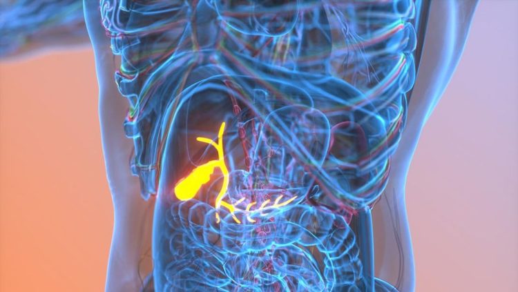 Daftar Makanan yang Dilarang untuk Penderita Batu Empedu