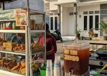 Ide Bisnis Makanan Laris, Tanaman Pengusir Ular, dan Desain Rumah Kecil Asri 8×15 m