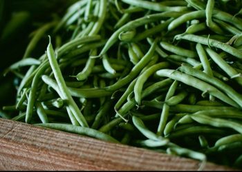 5 Manfaat Sehat Mengonsumsi Buncis yang Tidak Kalah Enak