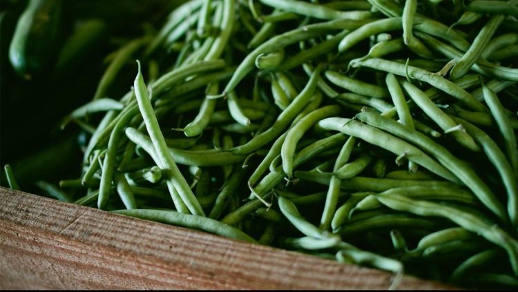 5 Manfaat Sehat Mengonsumsi Buncis yang Tidak Kalah Enak