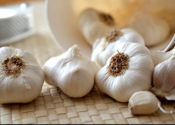 Manfaat Air Rebusan Bawang Putih Selain Meningkatkan Imun Tubuh