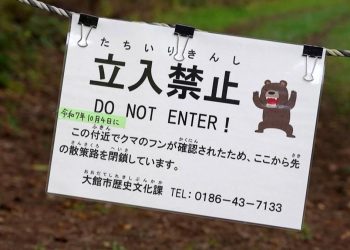 Jepang Waspada Serangan Beruang, Wisatawan Dihimbau untuk Berhati-Hati