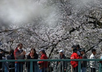 Turis China Mendapat Peringatan Perjalanan Menuju Jepang