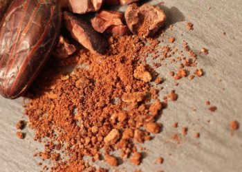 Memperingati 13 Desember Hari Kakao dan 8 Manfaatnya untuk Kesehatan Tubuh