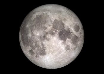 Kaitan Antara Siklus Mood dan Perilaku Manusia