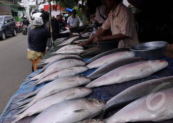 7 Cara Membersihkan Ikan Bandeng Tanpa Bau, Dijamin Bersih dan Siap Dimasak
