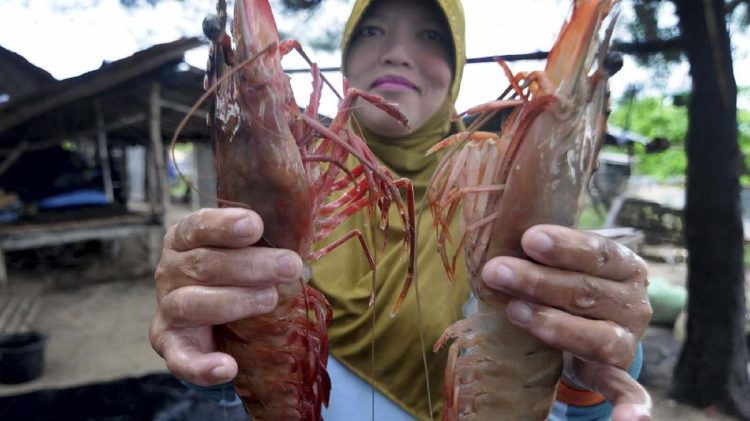 Kepala Udang Bisa Dimakan dan Manfaat serta Risikonya