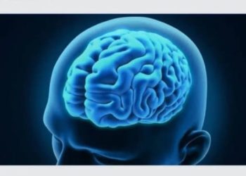 Bahan Alami untuk Menjaga Kesehatan Jaringan Saraf dan Meningkatkan Konsentrasi