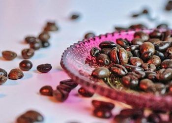 Sejarah Kopi Robusta sebagai Pilar Utama dalam Industri Kuliner Global