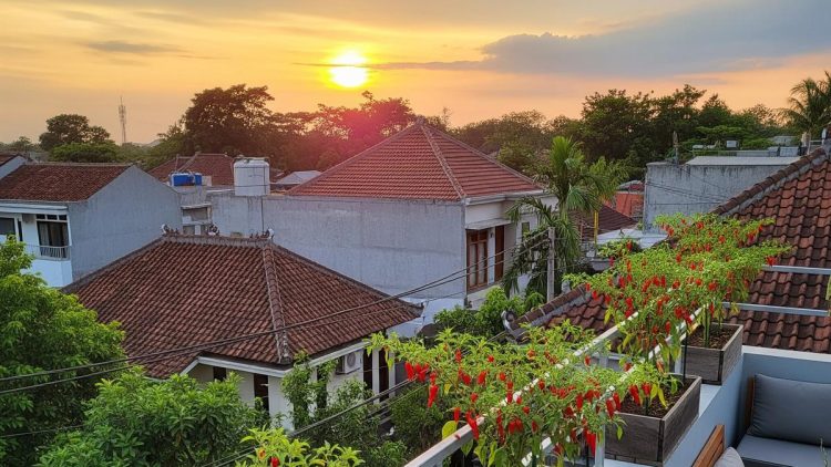 9 Desain Kebun Cabai di Atap Rumah yang Praktis dan Menguntungkan