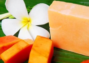 7 Manfaat Sabun Pepaya untuk Kesehatan Kulit Wajah Kulit Cerah Secara Alami