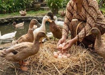 9 Jenis Ternak Rumahan yang Sesuai untuk Ibu Rumah Tangga dan Menambah Pemasukan