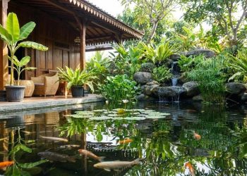 8 Model Kolam Ikan Teras Rumah Bebas Bau dan Air Jernih