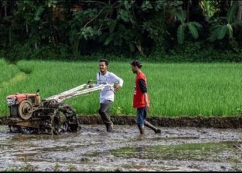 Strategi Mengubah Lahan Tidur Menjadi Ekosistem Pertanian Berkelanjutan