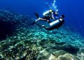 Keindahan Alam Bawah Laut di Gorontalo
