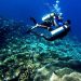 Keindahan Alam Bawah Laut di Gorontalo