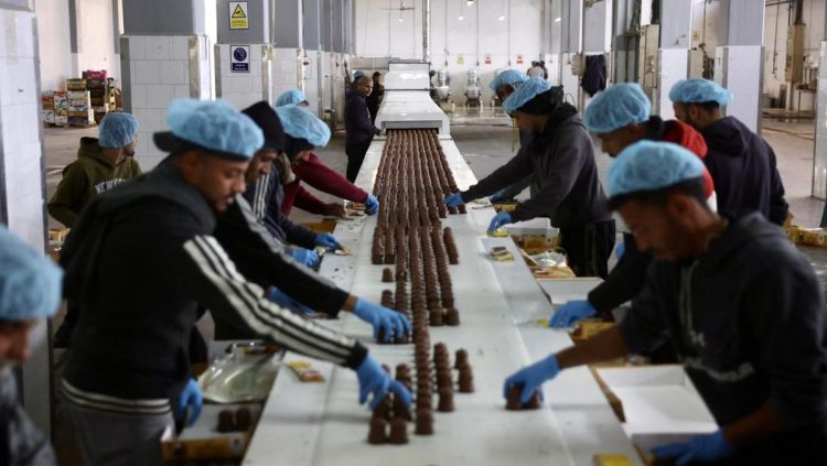 Pabrik Manisan di Gaza Palestina Mulai Beroperasi Kembali