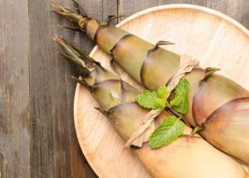 5 Manfaat Rebung bagi Kesehatan Termasuk Menurunkan Kolesterol